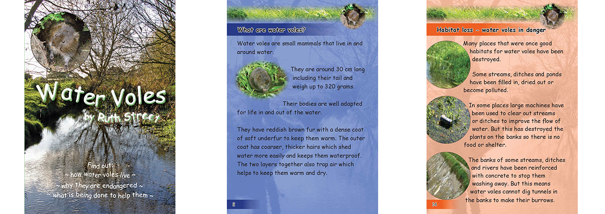 Water Vole pages