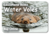 ad water vole book